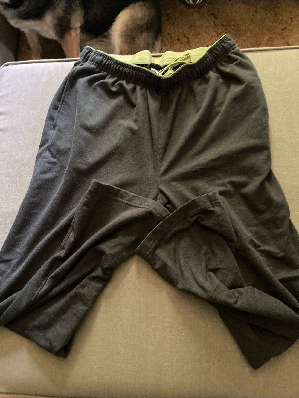 Reebok Gray Jogger Sweatpants with Olive Drawstring